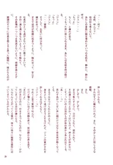 超妄想プラグインH, 日本語