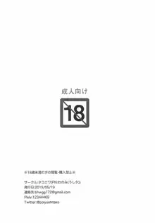 どれみらくがき本9.7, 日本語