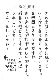 魔理沙とHしたい本, 日本語