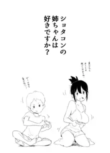 ショタコンの姉ちゃんは好きですか, 日本語