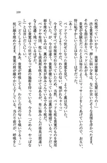 W生徒会長～どっちを選ぶの!?, 日本語