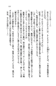 W生徒会長～どっちを選ぶの!?, 日本語