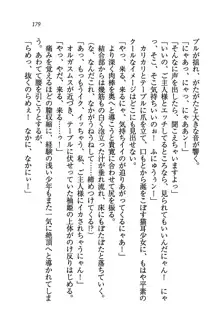 W生徒会長～どっちを選ぶの!?, 日本語