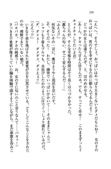 W生徒会長～どっちを選ぶの!?, 日本語