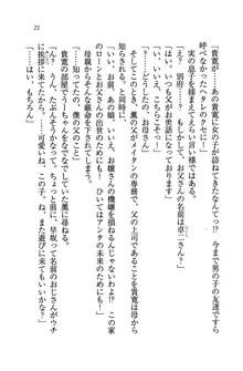 W生徒会長～どっちを選ぶの!?, 日本語