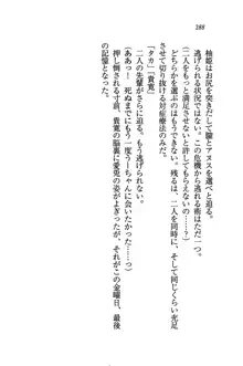 W生徒会長～どっちを選ぶの!?, 日本語