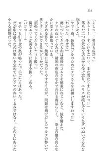 となプリ 王女様の休日, 日本語