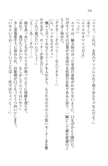 となプリ 王女様の休日, 日本語