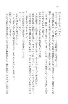 となプリ 王女様の休日, 日本語