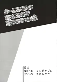 カーミラさんのえっちなのが描きたかった本, 日本語