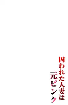 囚われた人妻は元ピンク, 日本語