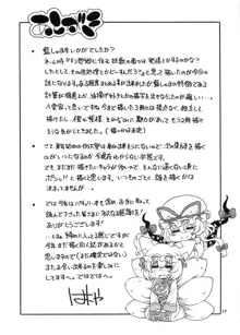 東方迷込 ～八雲藍編～, 日本語