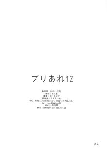 プリあれ12, 日本語