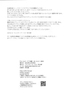 もしもビーチで遊んでいる最中にギンギンヨーソローになってしまったら?, 日本語