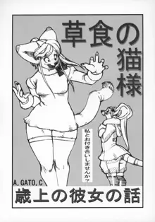 ケモッ娘ラヴァーズ10, 日本語