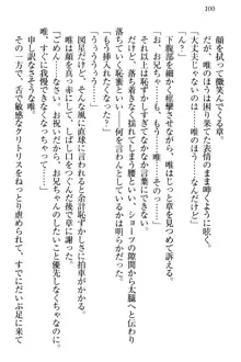 おとまりせっくす 家族旅行、兄妹の秘密, 日本語