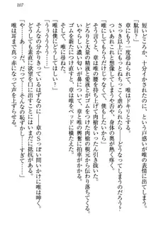 おとまりせっくす 家族旅行、兄妹の秘密, 日本語