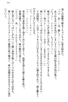 おとまりせっくす 家族旅行、兄妹の秘密, 日本語