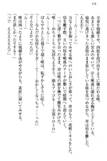 おとまりせっくす 家族旅行、兄妹の秘密, 日本語