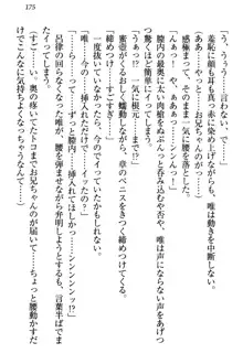 おとまりせっくす 家族旅行、兄妹の秘密, 日本語