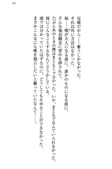 おとまりせっくす 家族旅行、兄妹の秘密, 日本語