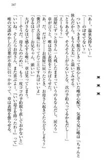 おとまりせっくす 家族旅行、兄妹の秘密, 日本語