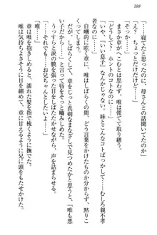 おとまりせっくす 家族旅行、兄妹の秘密, 日本語