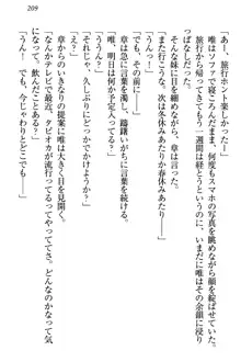 おとまりせっくす 家族旅行、兄妹の秘密, 日本語