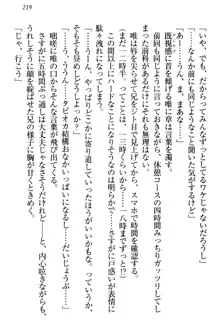 おとまりせっくす 家族旅行、兄妹の秘密, 日本語