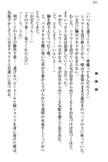 おとまりせっくす 家族旅行、兄妹の秘密, 日本語