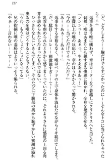 おとまりせっくす 家族旅行、兄妹の秘密, 日本語