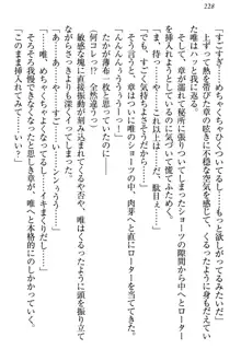 おとまりせっくす 家族旅行、兄妹の秘密, 日本語