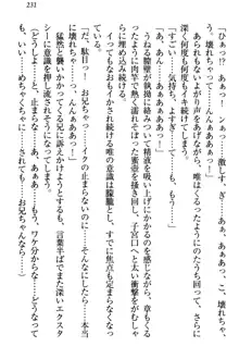 おとまりせっくす 家族旅行、兄妹の秘密, 日本語