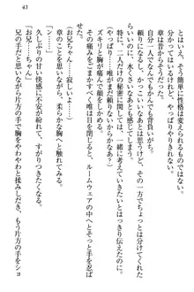 おとまりせっくす 家族旅行、兄妹の秘密, 日本語