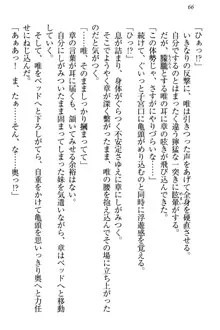 おとまりせっくす 家族旅行、兄妹の秘密, 日本語