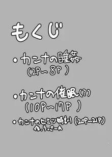 いちにんまえとヒミツ!!, 日本語