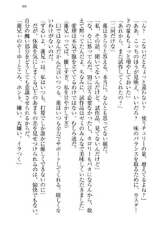 生徒会長・愛ヶ淵愛理はマゾられたい Mな幼なじみと特別補習, 日本語