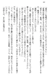 生徒会長・愛ヶ淵愛理はマゾられたい Mな幼なじみと特別補習, 日本語