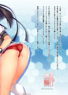 艦隊カーニバル4-ご注文はHな練習ですか？-, 日本語