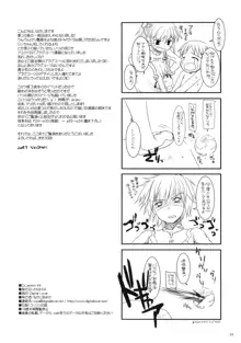 D.L.Action 49, 日本語