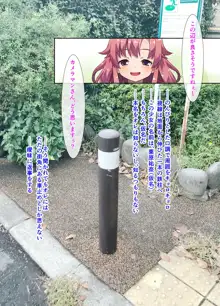 街中の極太ポールを尻穴でごっくん!? ～公衆肛拡『AR』好肛生写真集, 日本語