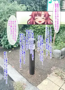 街中の極太ポールを尻穴でごっくん!? ～公衆肛拡『AR』好肛生写真集, 日本語