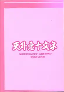 俺の冬2012, 日本語