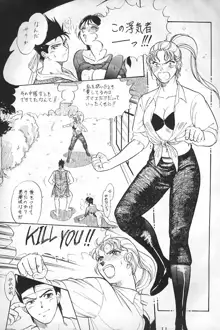 Virtua Fighter Hentai Doujinshi, 日本語