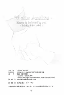 White Azalea, 日本語