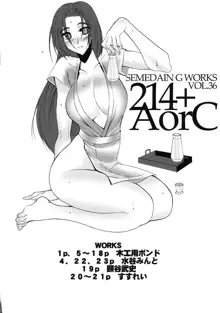 214+AorC, 日本語