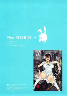 Pre-BURN, 日本語