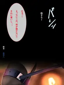 ‐完全拘束‐お嬢様(あいつら)は俺たちのおもちゃ, 日本語