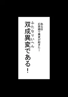 東方双珍録～風見幽香～, 日本語