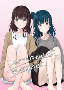 permanent magnet, 日本語